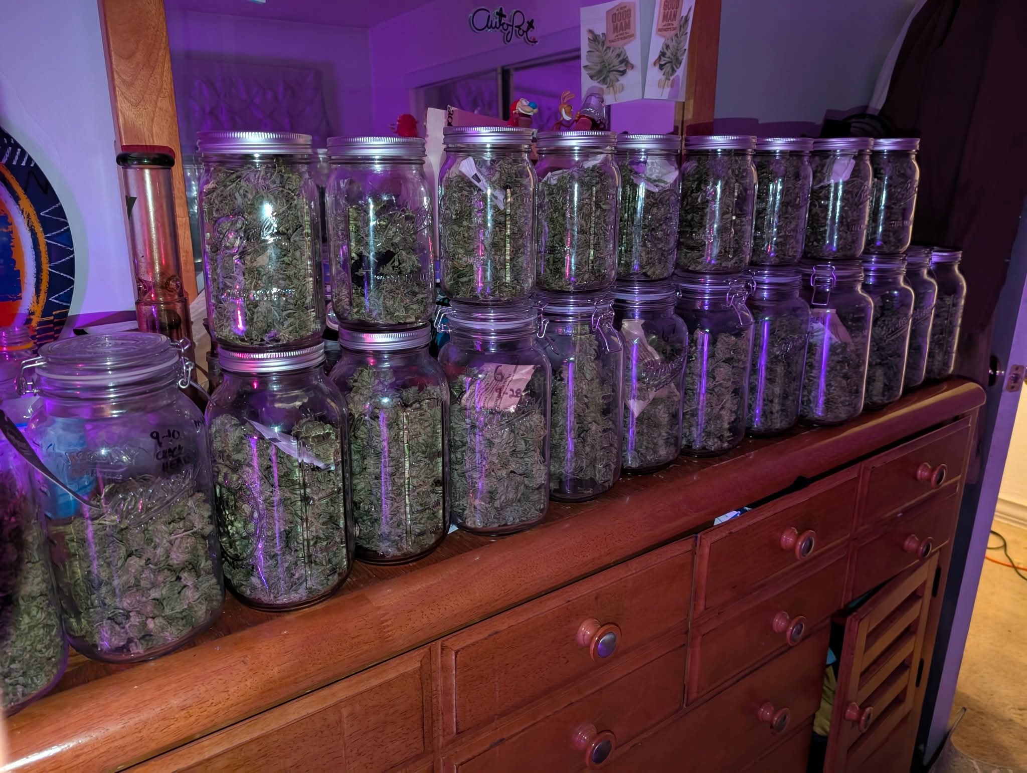 From The Amigos - Photo 1