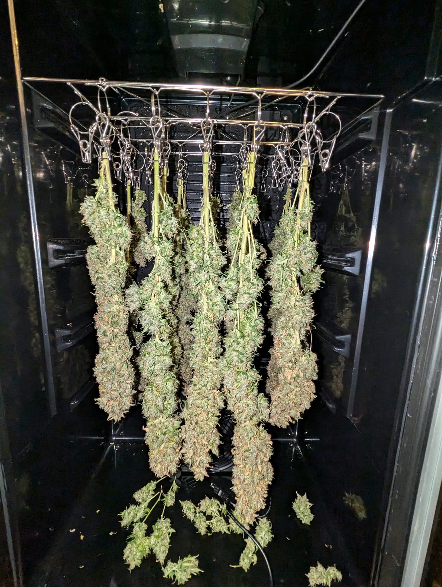 From The Amigos - Photo 10