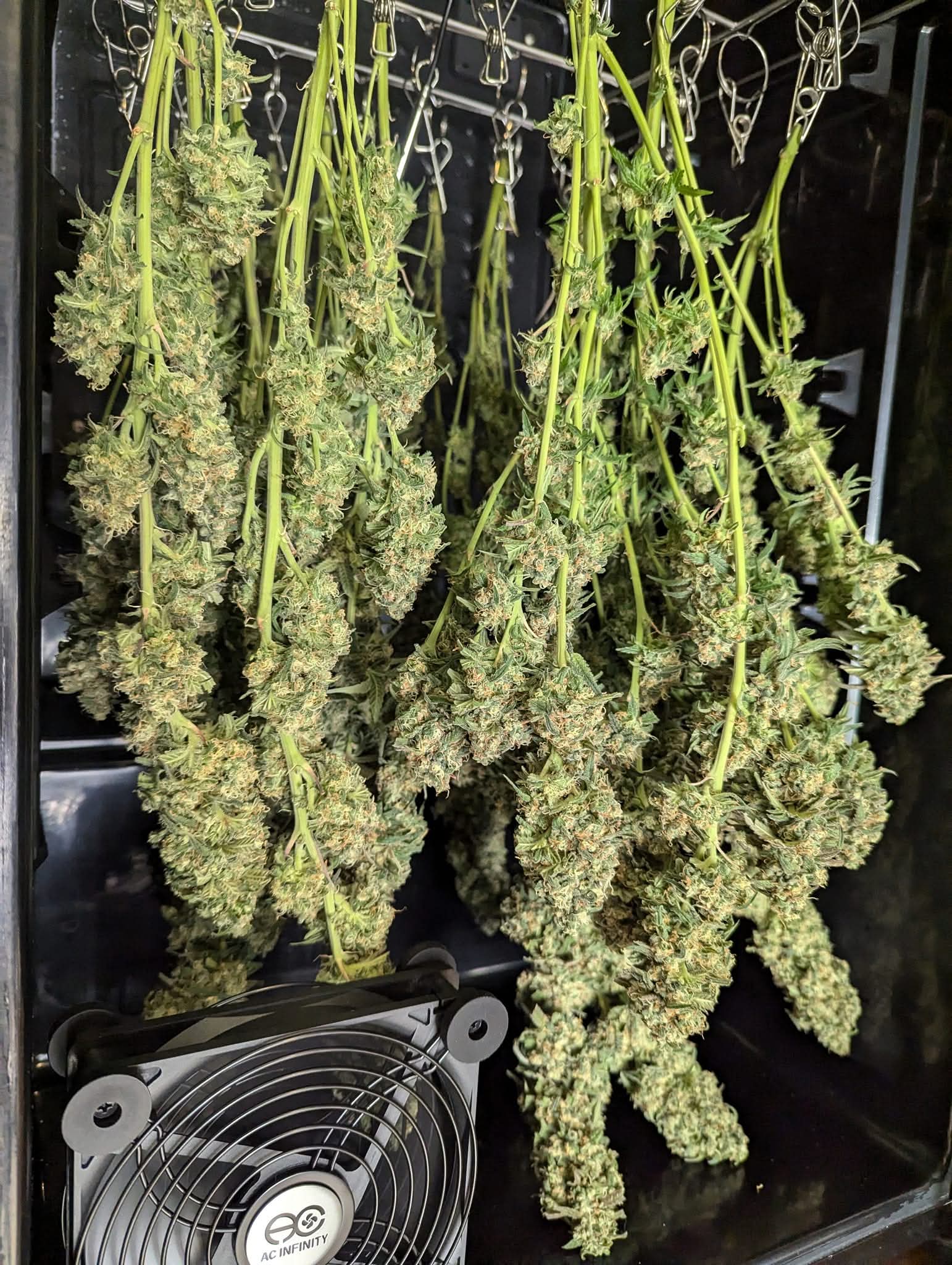 From The Amigos - Photo 11