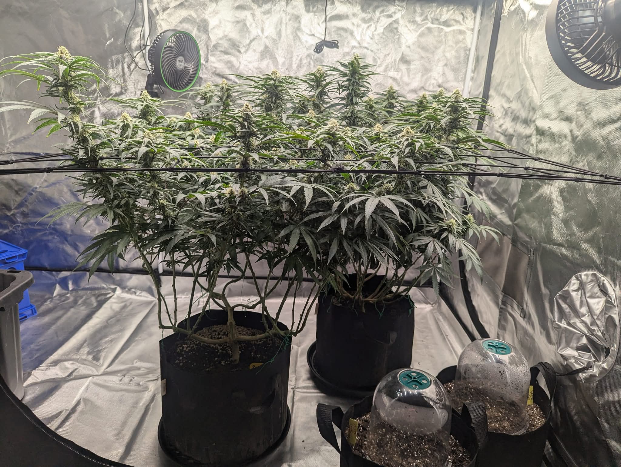 From The Amigos - Photo 15