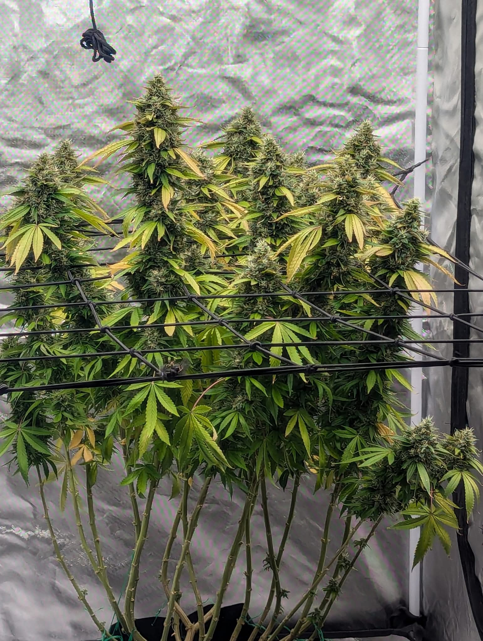 From The Amigos - Photo 20