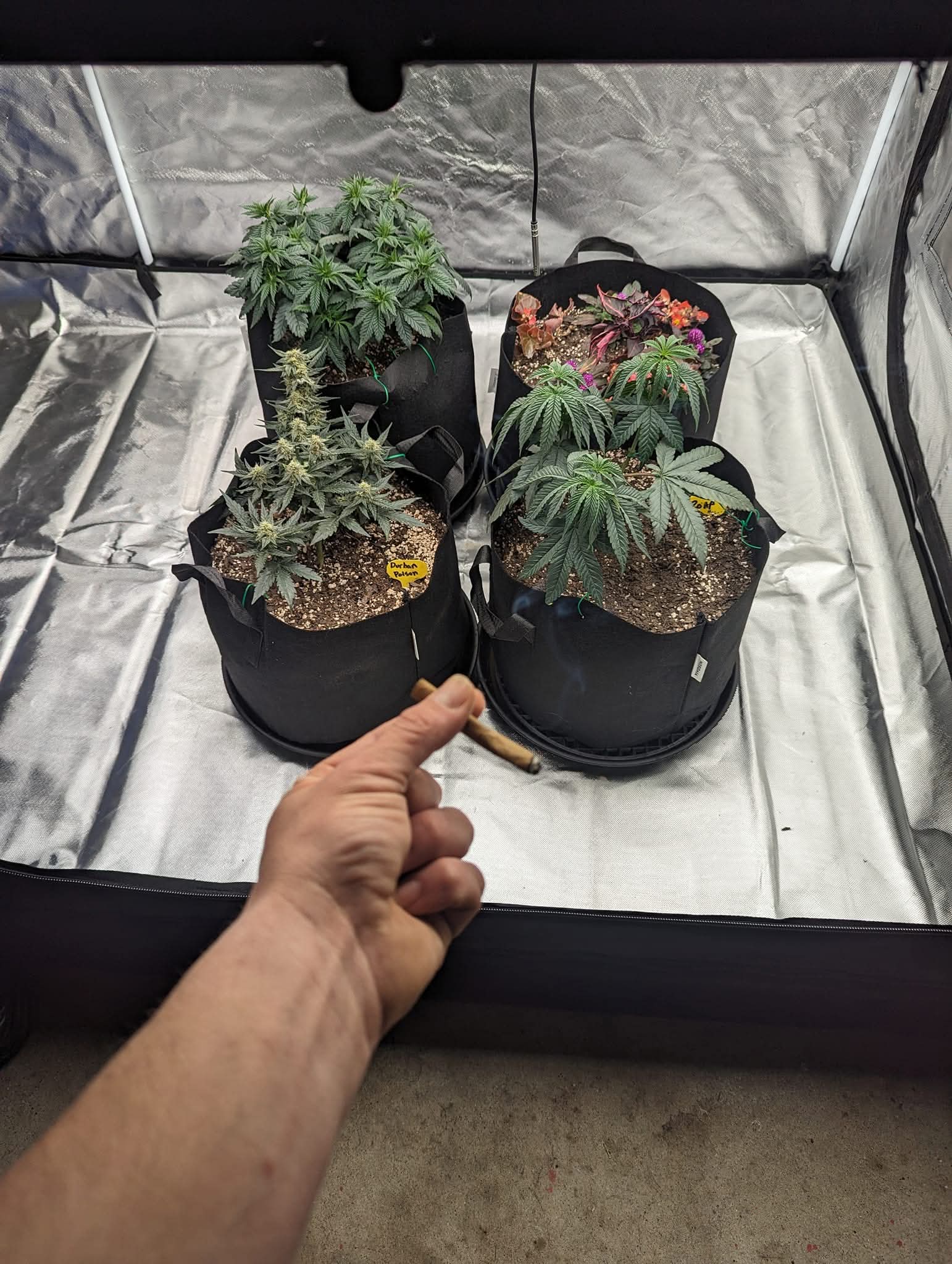 From The Amigos - Photo 23