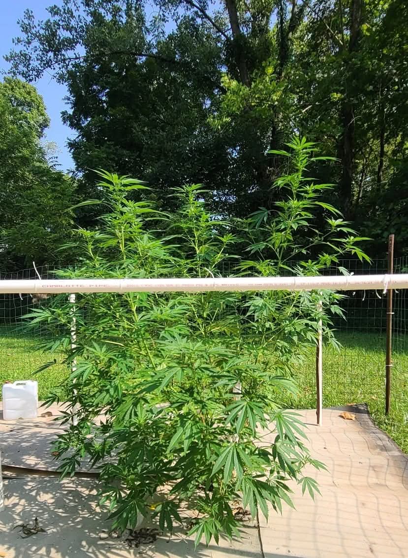 From The Amigos - Photo 24