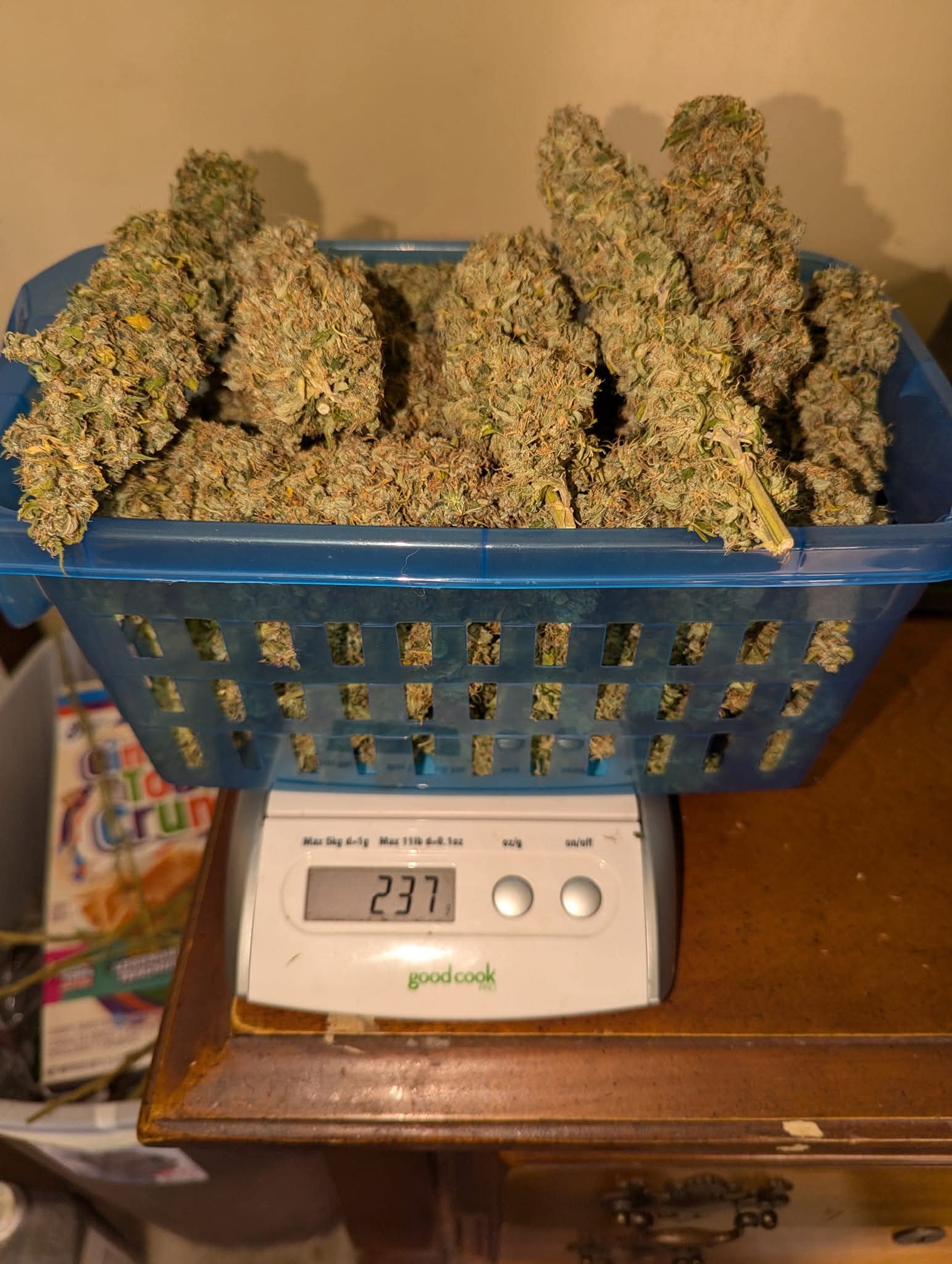 From The Amigos - Photo 25