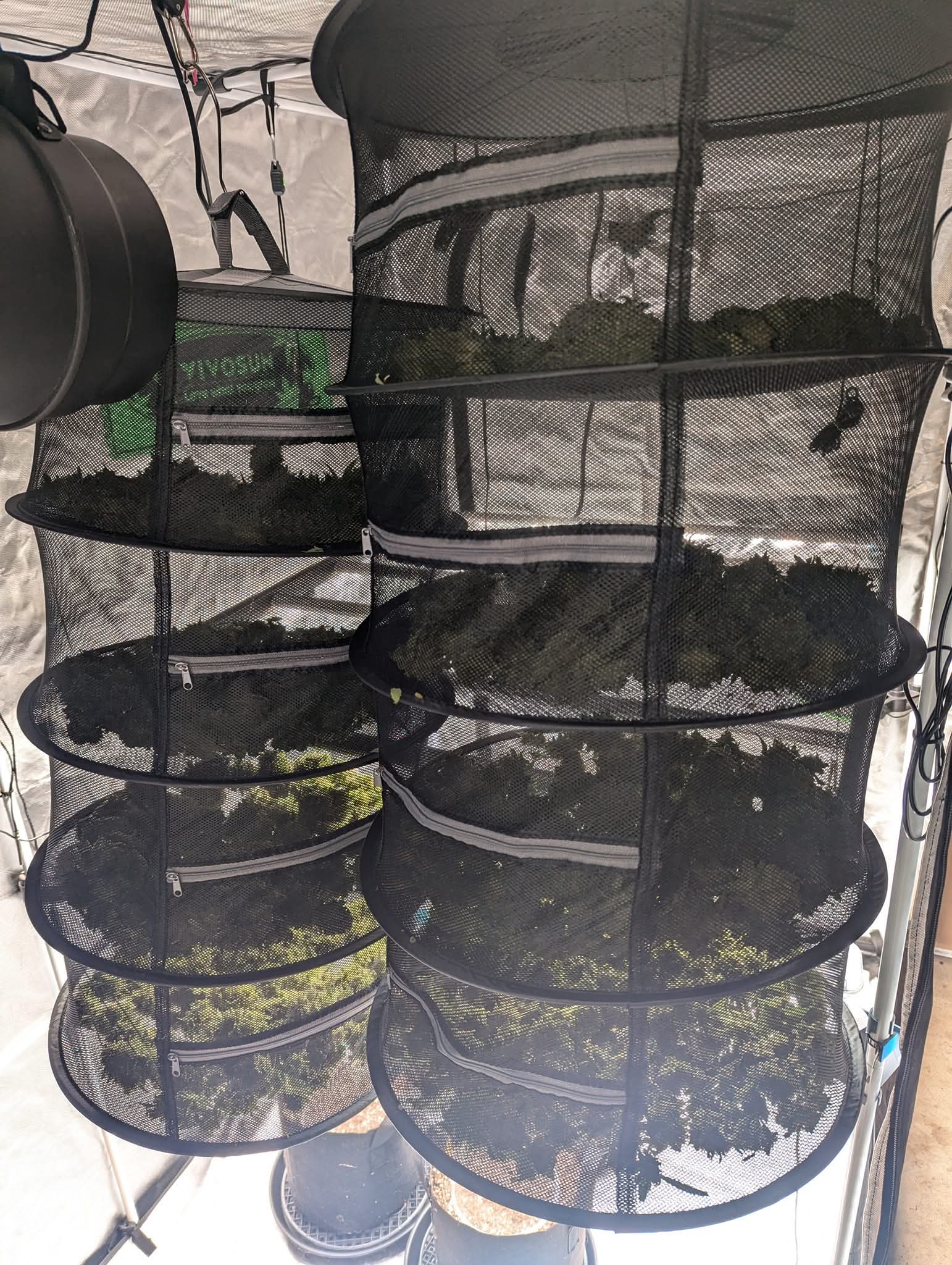 From The Amigos - Photo 26