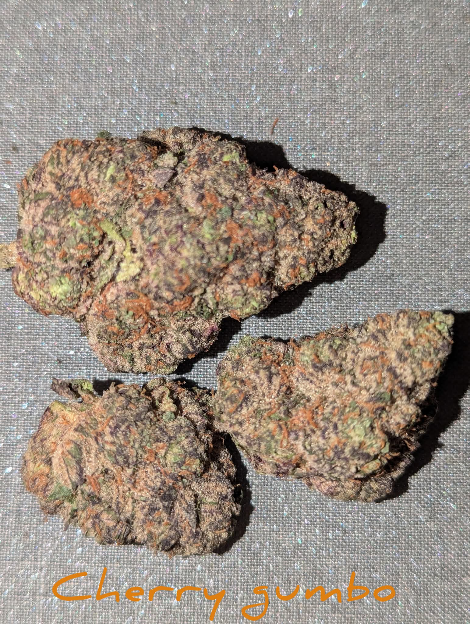 From The Amigos - Photo 27