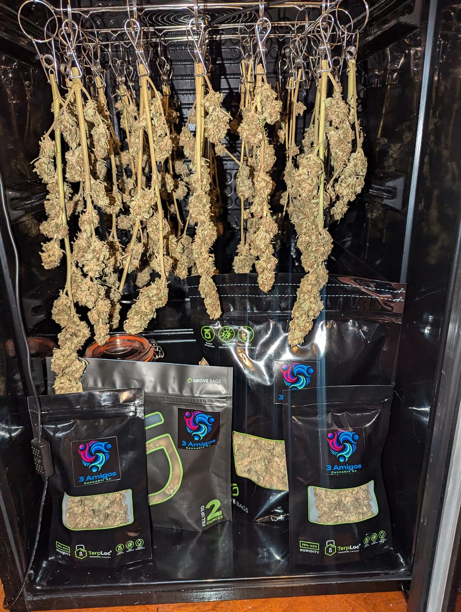 From The Amigos - Photo 29