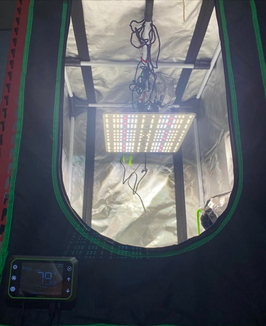 From The Amigos - Photo 3