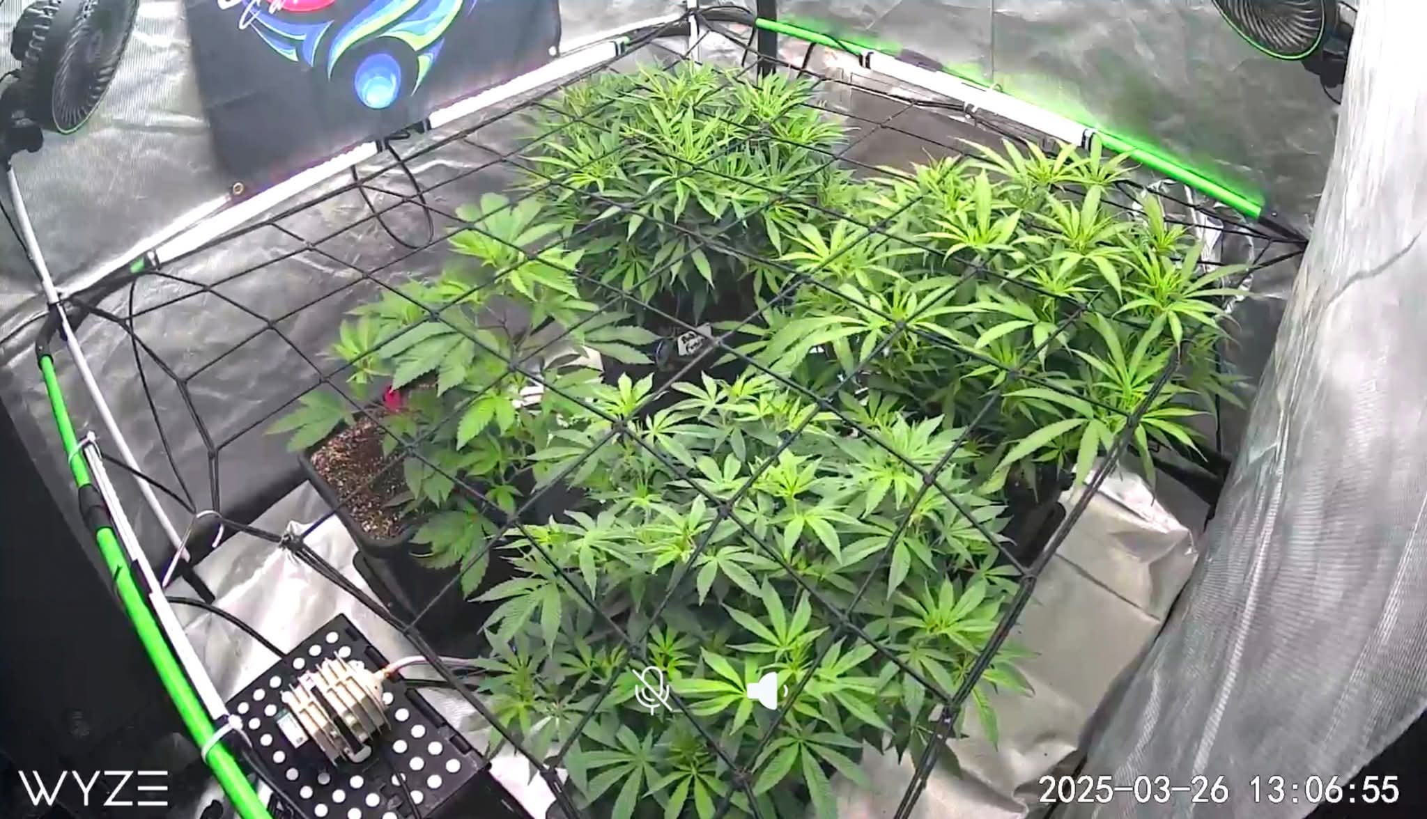 From The Amigos - Photo 33