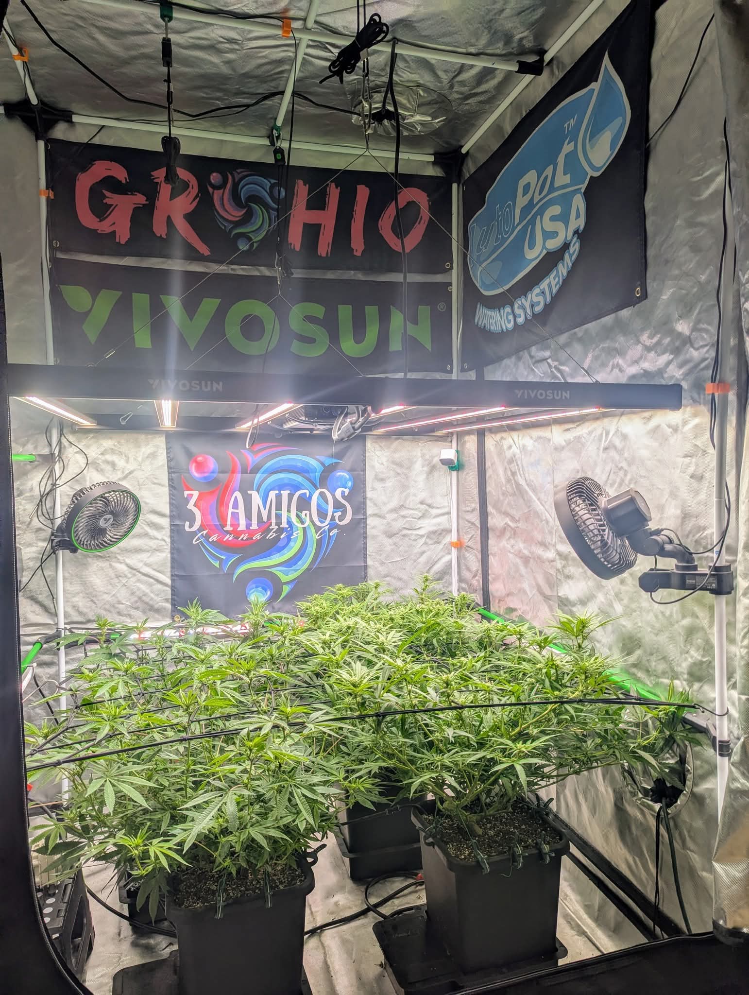 From The Amigos - Photo 34