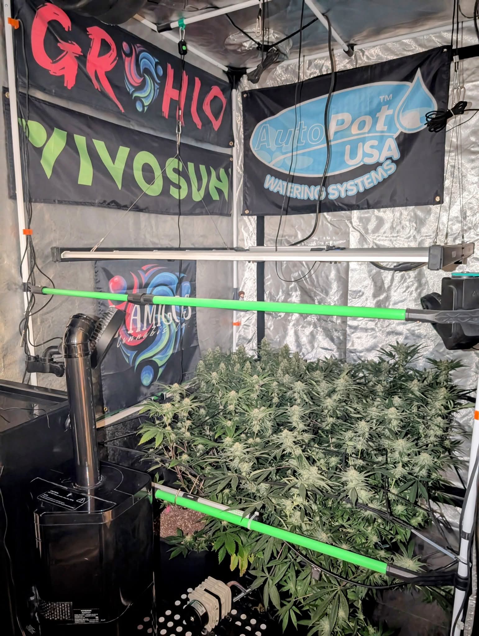 From The Amigos - Photo 35