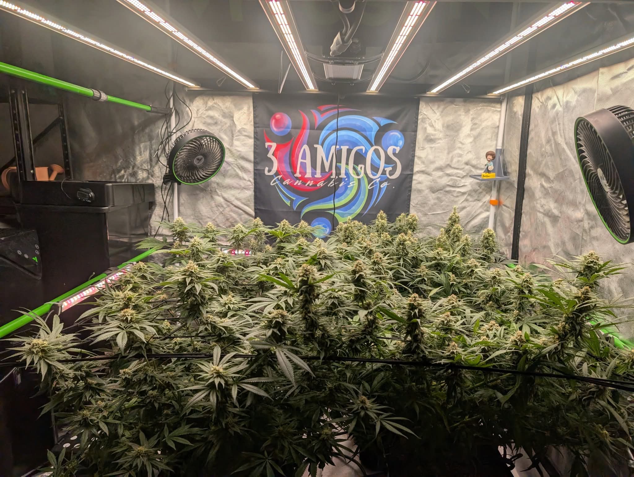 From The Amigos - Photo 36