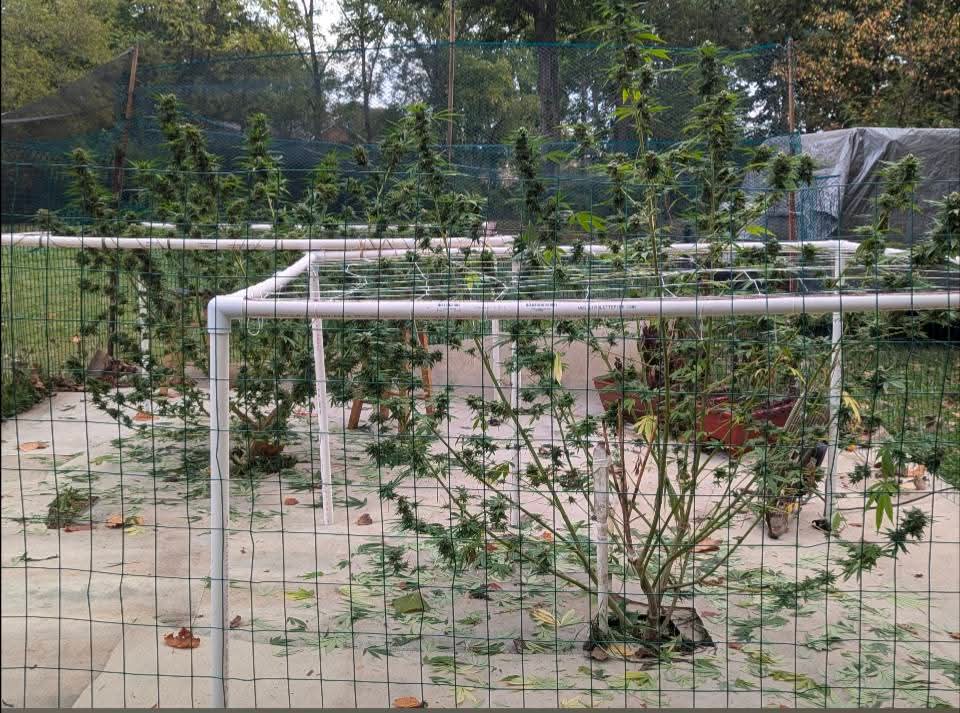 From The Amigos - Photo 38