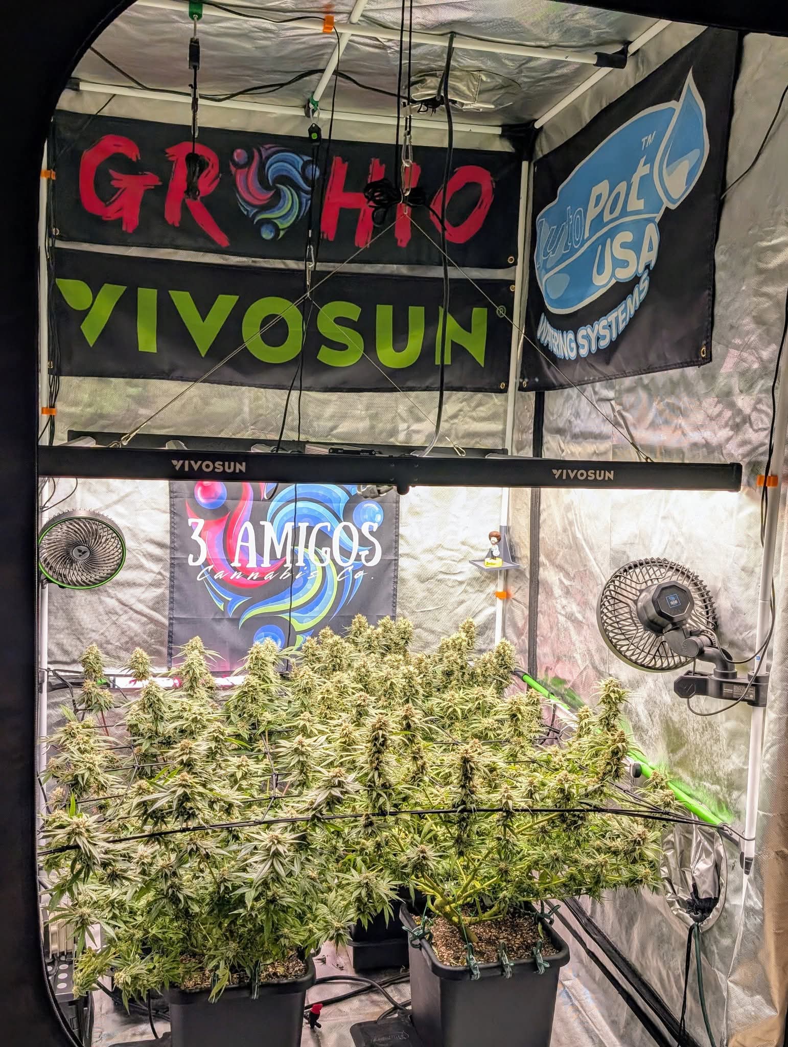 From The Amigos - Photo 39