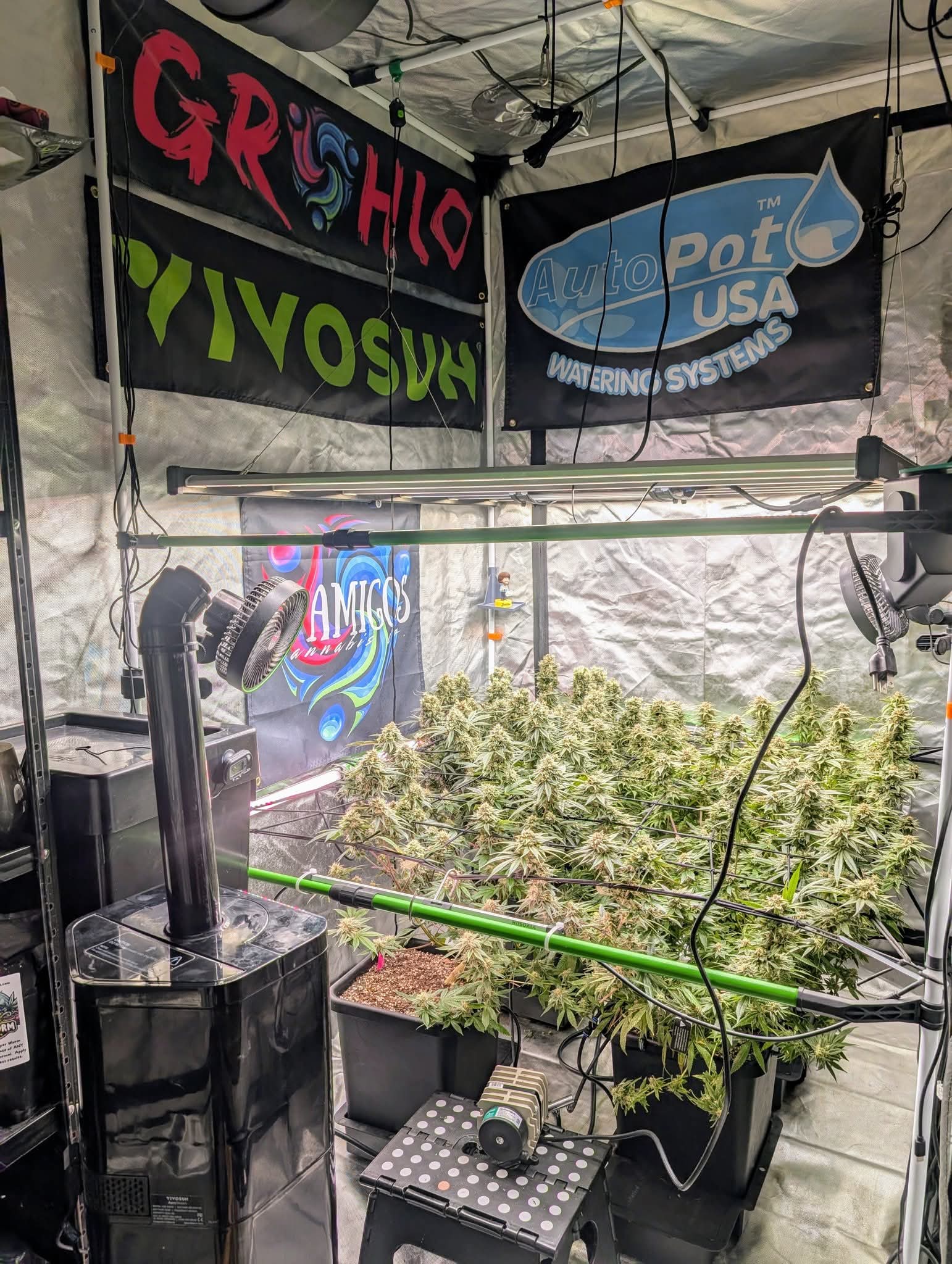 From The Amigos - Photo 40