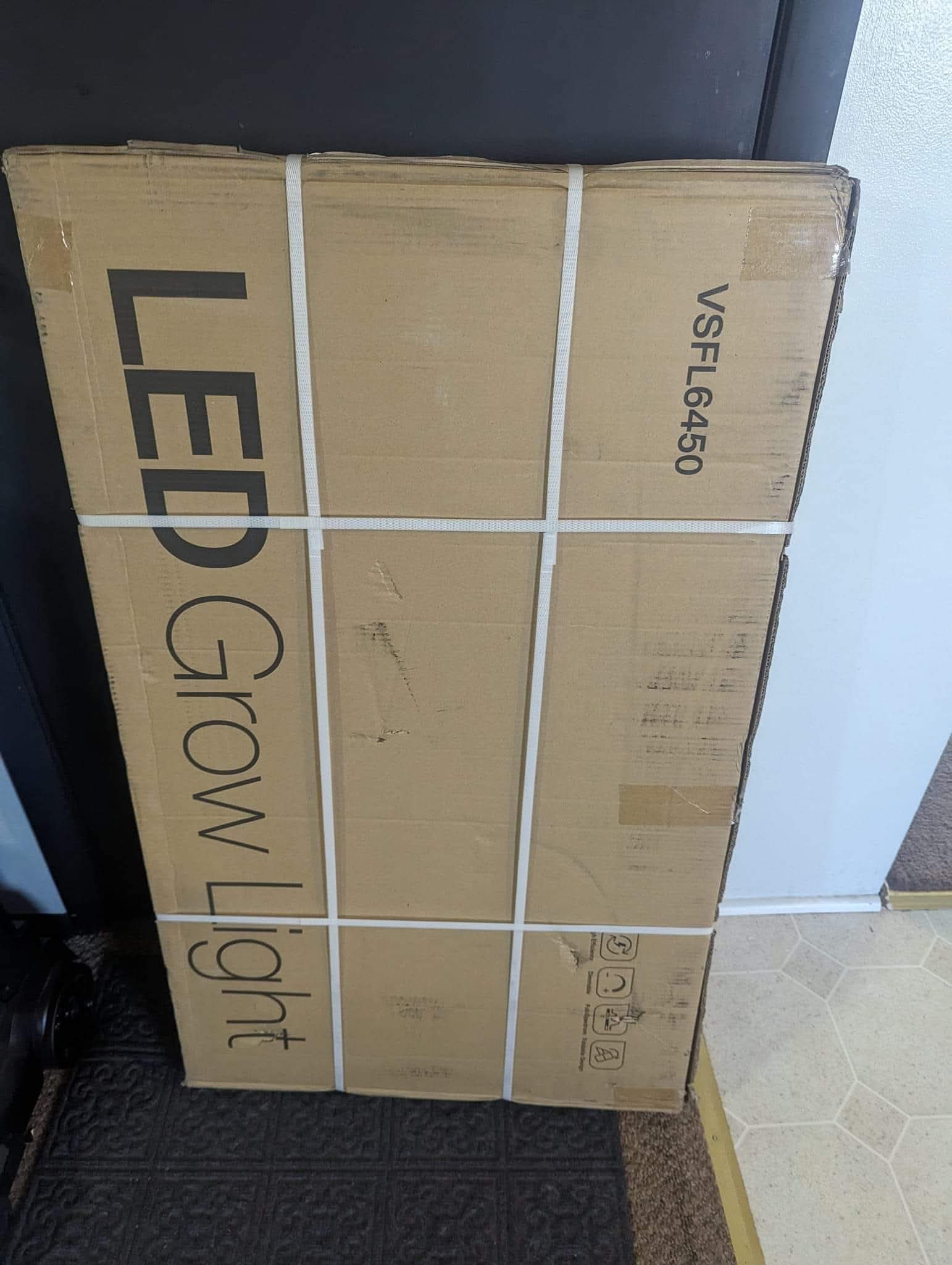 From The Amigos - Photo 5