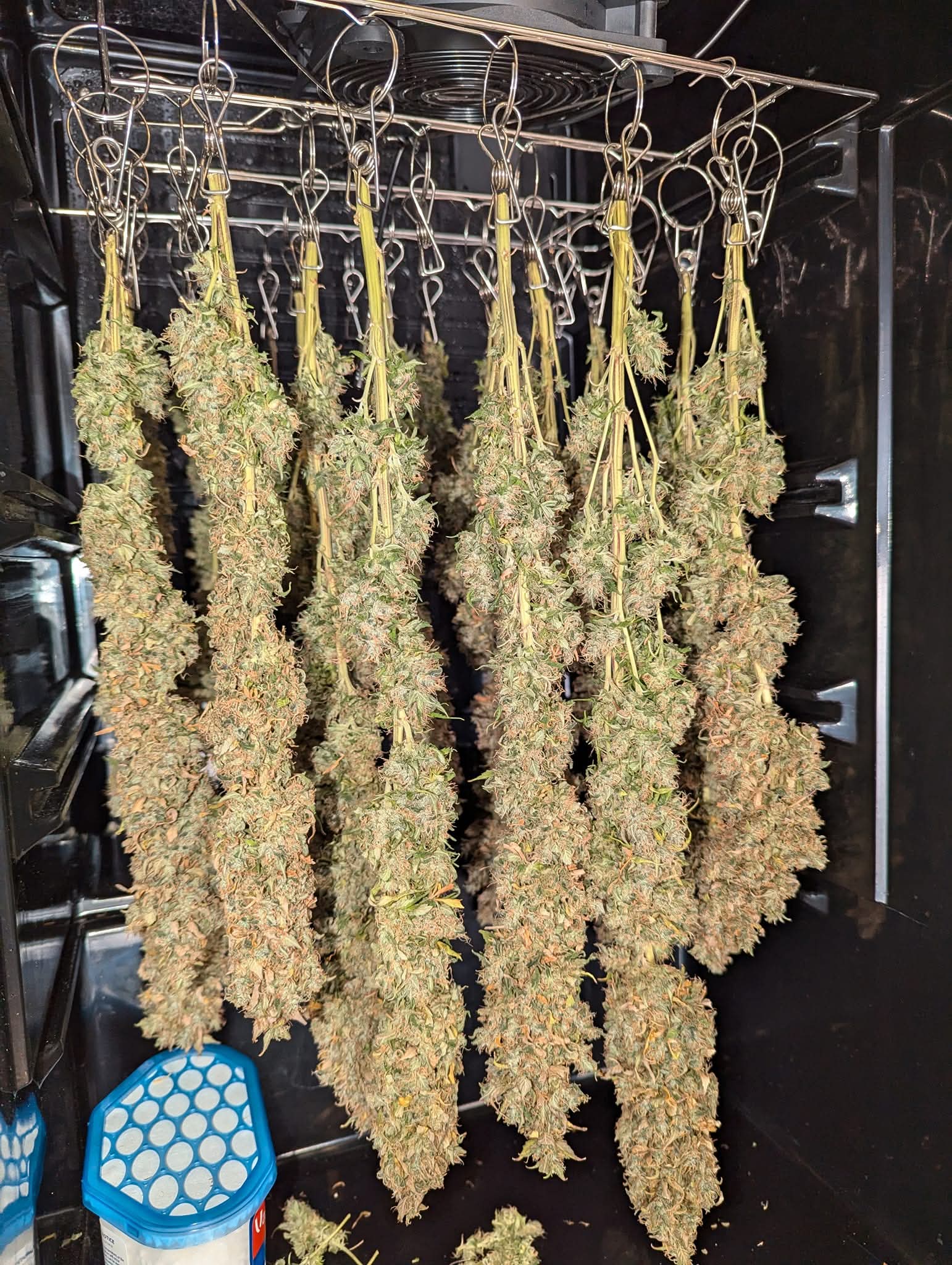 From The Amigos - Photo 7