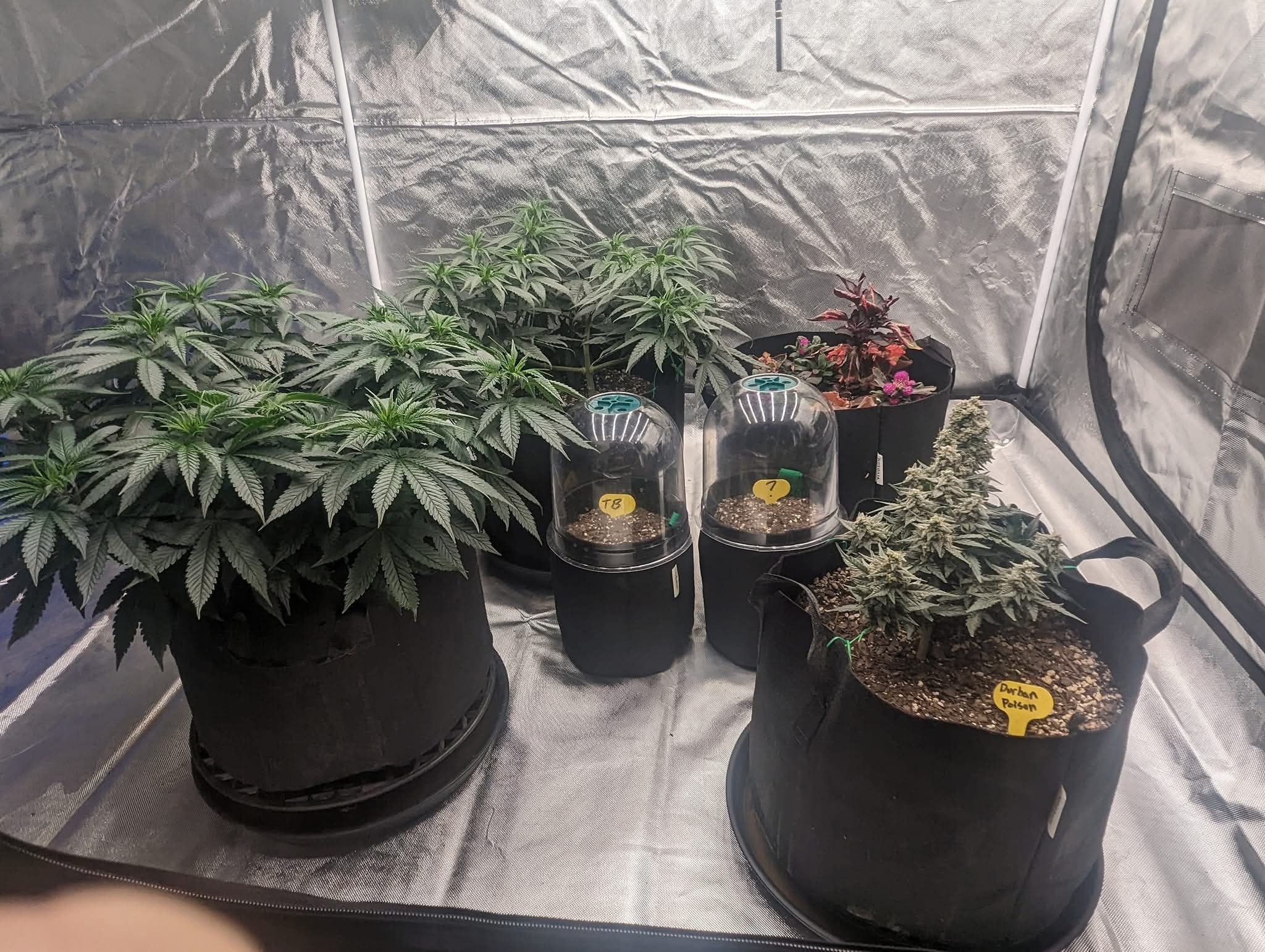 From The Amigos - Photo 9